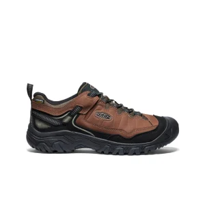 Men's Targhee IV Waterproof Hiking Shoe
